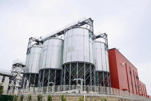 山東省酒業(yè)協(xié)會領(lǐng)導參觀指導趵突泉酒莊技術(shù)開發(fā)與建設(shè)工作